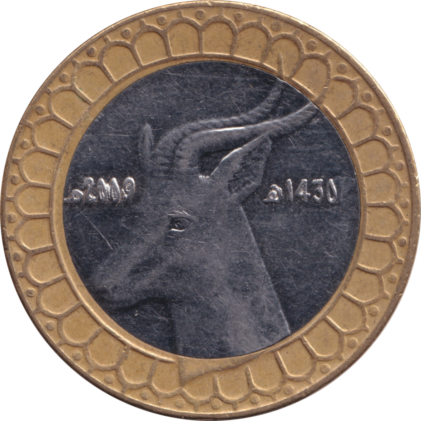 50 dinars - Gazelle