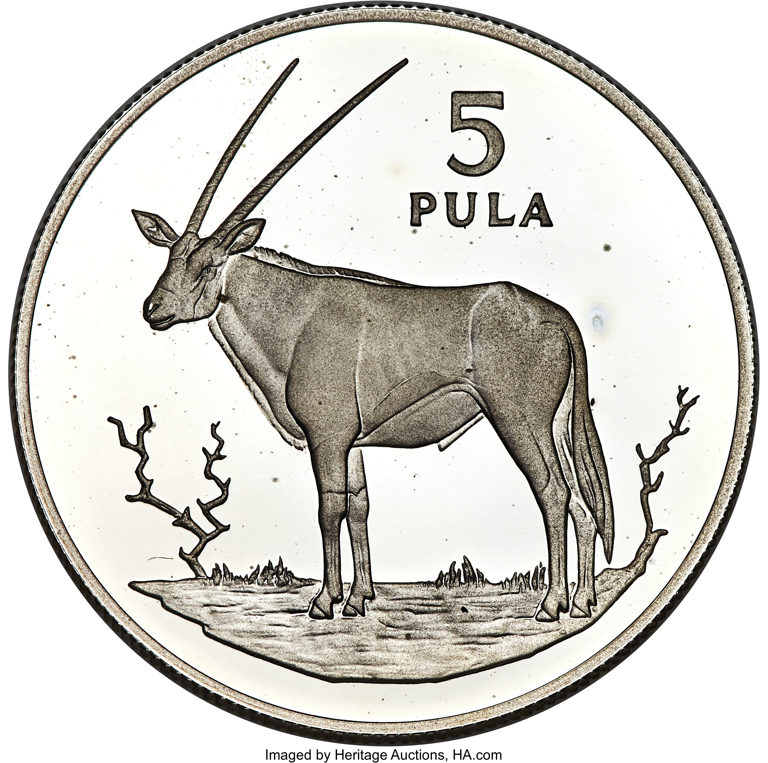 5 pula - Oryx